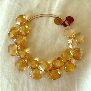 Alex and Ani chunky bangle